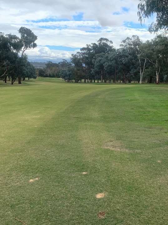 Vertmax turf paint and turf pigment applied to a fairway in Canberra