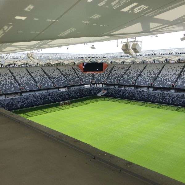 sports turf consultancy for Comm Bank Stadium in selecting Apple SGL perennial ryegrass seed 
