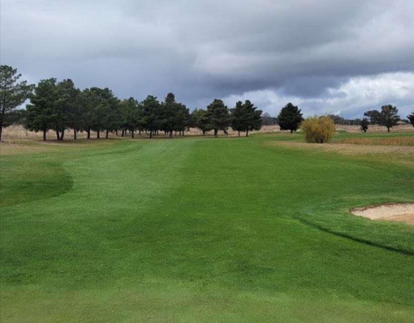 Treated vs untreated fairway with Vertmax turf pigment and grass paint