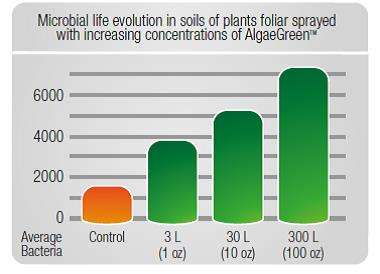 Seaweed application can boost soil microbial activity