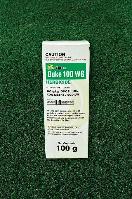 Duke Herbcide for Poa annua and perennial ryegrass control