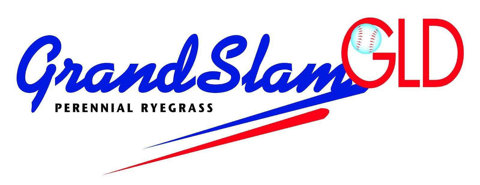 Grand Slam GLD perennial ryegrass turf seed