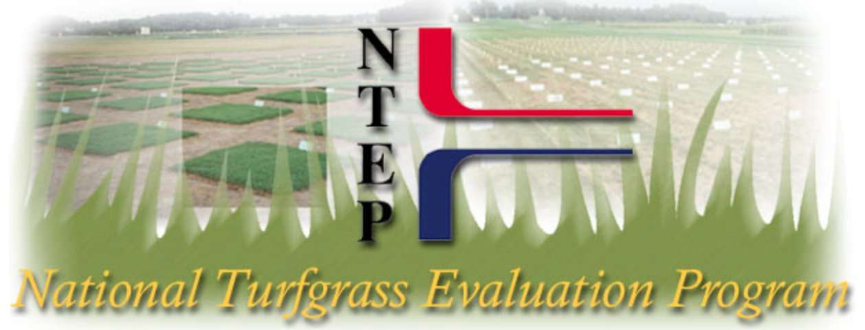 NTEP independently trials grass for overseeding