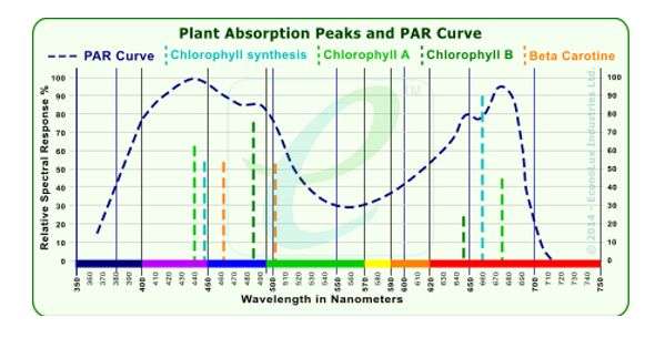 When using light plants absorb it at certain wavelengths. Not all the light spectrum is of benefit to turf.