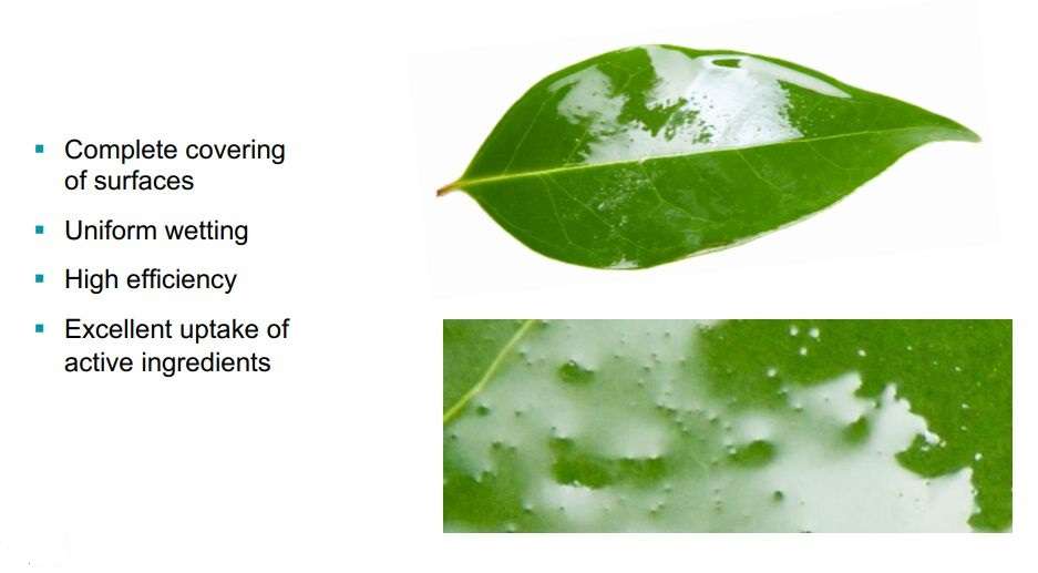 After adding the bio-stimulant Delfan Plus the surface tension is reduced and full coverage occurs.