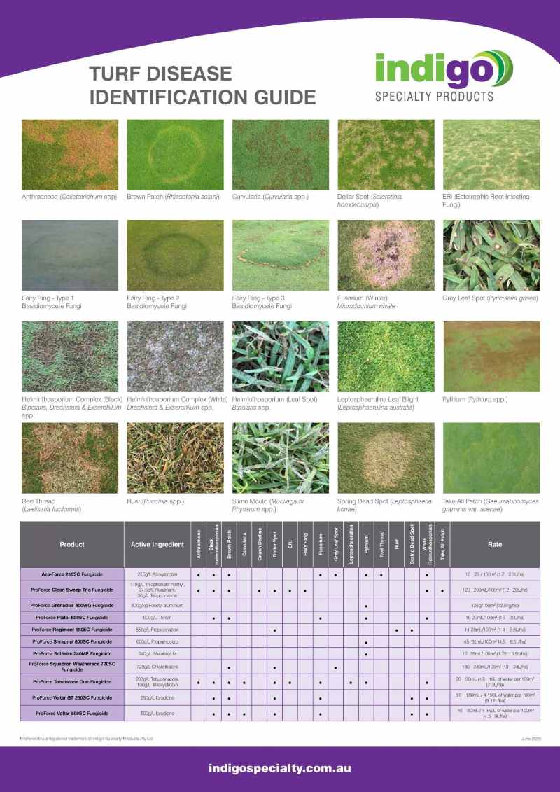 Lawn fungus identification chart