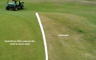 The best wetting agent. 24