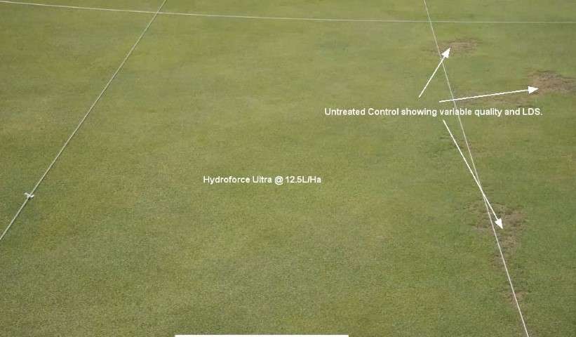 Hydroforce Ultra soil wetting agent reduces localised dry spot and maintains consistent turf quality.