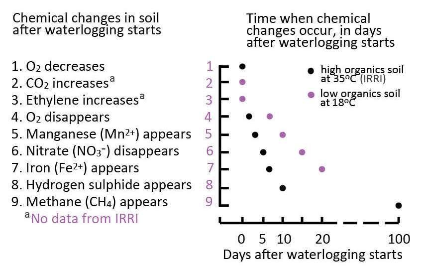 Chemical changes in waterlogged soils and the need for soil aeration