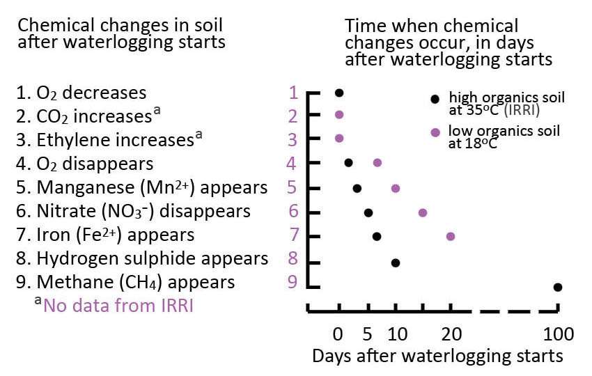 How to manage flooded turf? 25