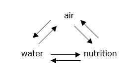 soil aeration maintains an equilibrium in the soil