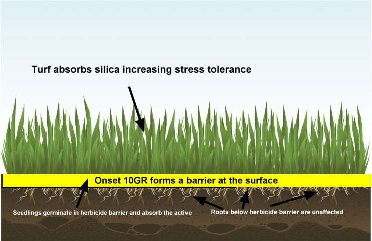 Schematic showing how Onset 10GR herbicide works by forming a barrier at the soil surface targeting germinating weeds.