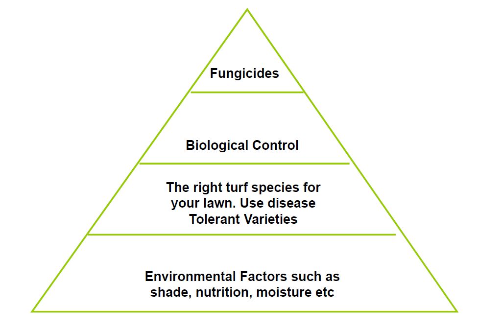 Disease management triangle showing the importance of environmental factors in IPM for lawn disease management.