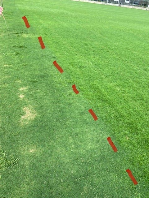 Preventative fungicide applications work. Areas of disease on untreated turf