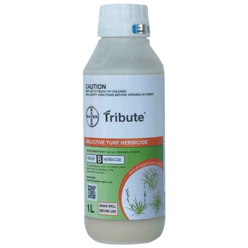 Tribute herbicide for wintergrass, ryegrass, paspalum and goosegrass control