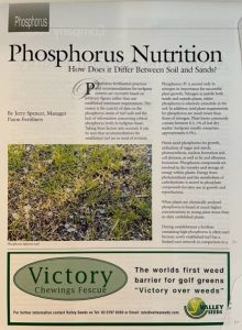 Phosphorus nutrition As a turfgrass agronomist Phosphorus nutrition of turf on soils and sands is an important topic