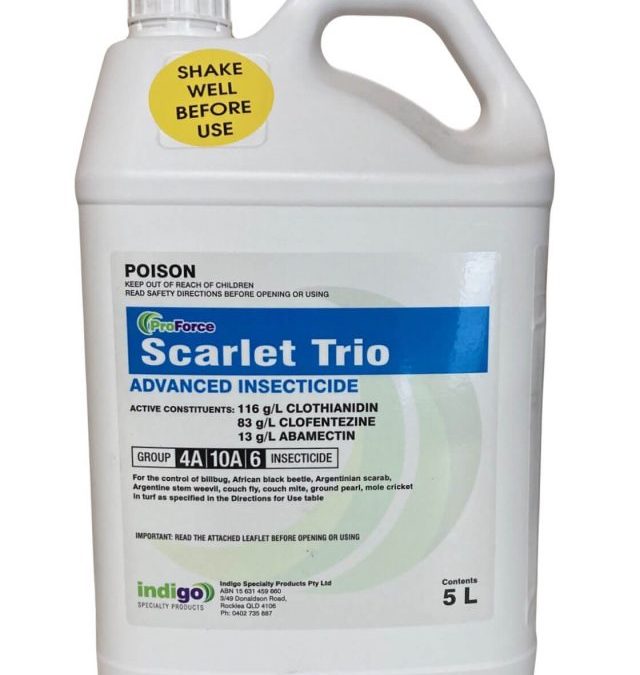 Scarlet Trio insecticide for Billbug, argentine stem weevil, mole cricket, argentine scarab, african black beetle, mole cricket, couch fly and ground pearl