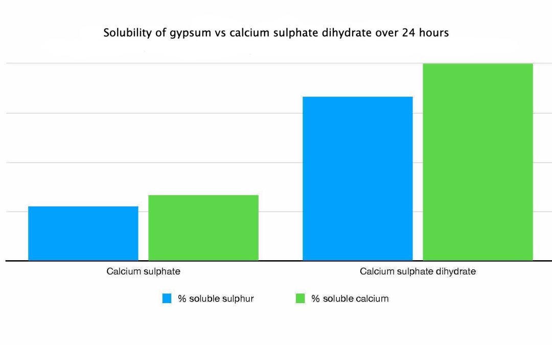 Gypsum vs calcium sulphate dihydrate solubility