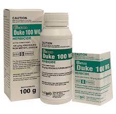 Duke Herbicide is great for transitioning out overseeding grass