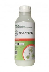 Envu specticle 1L pre emergent (indaziflam) controls crowsfoot, summer grass, crabgrass & winter grass.