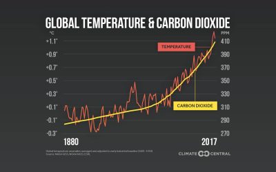 Turf Weeds and Climate Change. 51