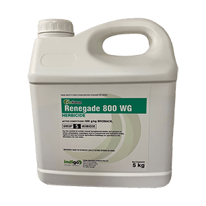 Renegade-800WG herbicide contains bromacil and prevents weeds like goosegrass, Japanese knotweed and lambs tongue for up to 12 months