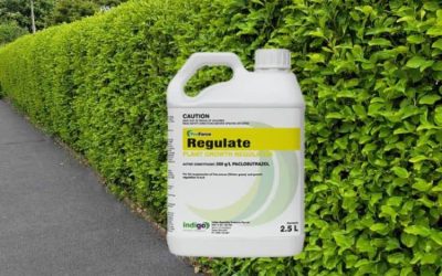 ProForce Regulate PGR