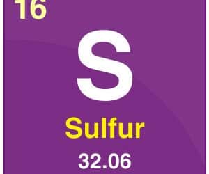 Sulphur in Plants and turfgrass