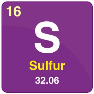 the role of sulphur, sulphate and thiosulphate in turfgrass