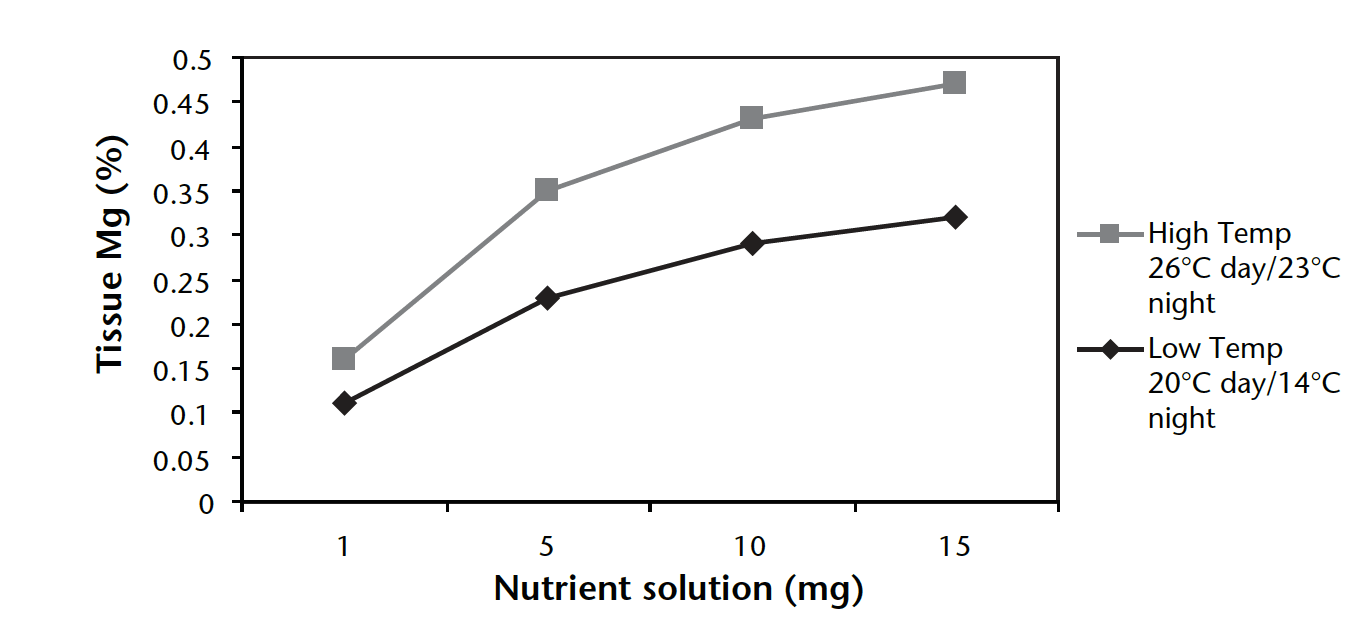How temperature effects magnesium fertilizer availability in plant tissue
