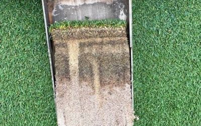 organic fertilisers and turfgrass