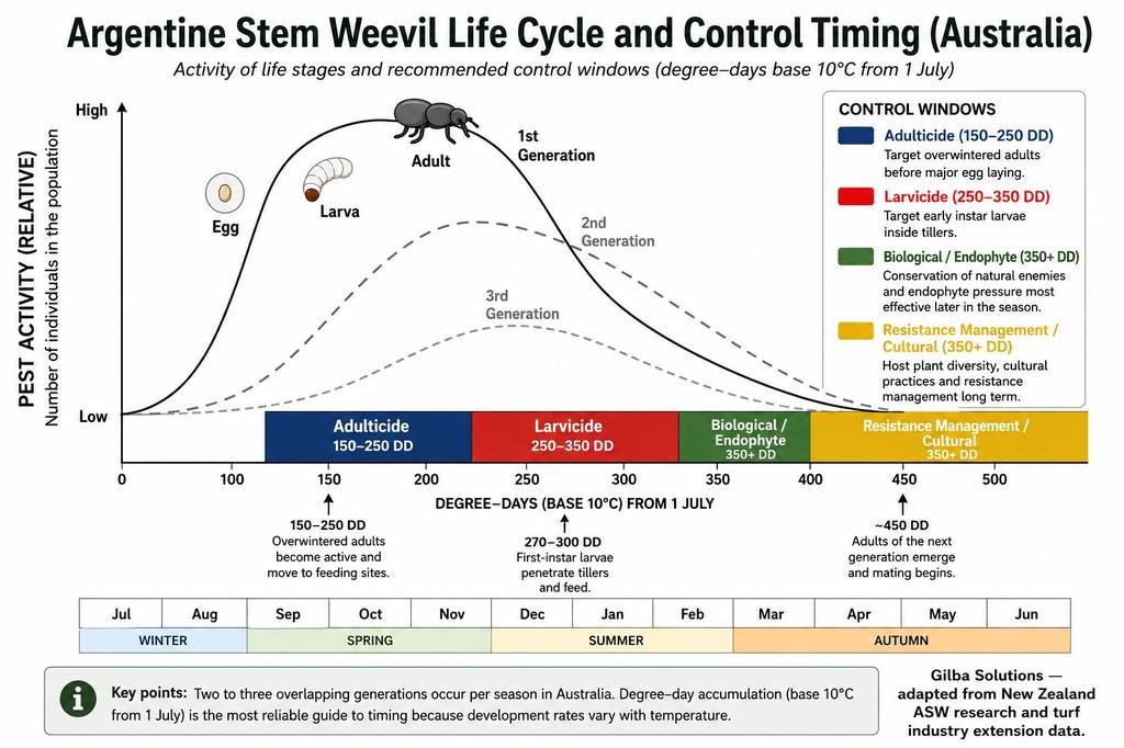 Argentine Stem Weevil life cycle diagram showing first, second and third generation pest activity curves and four colour-coded control windows aligned to degree-day accumulation from 1 July in Australian turf