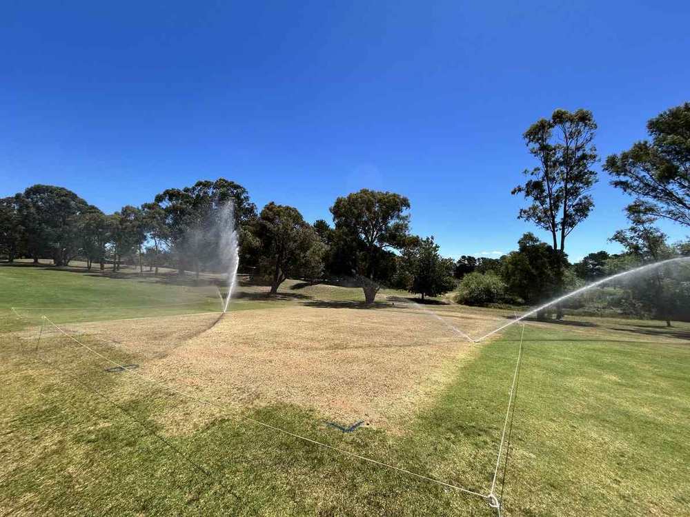 Maya seeded couch trial, Burns GC ACT. Kikuyu sprayed out, seedbed prepared, marked and irrigated, January 2026