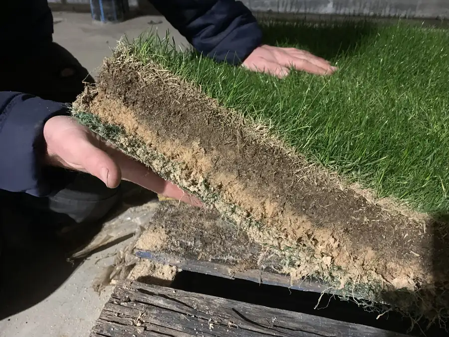 Reinforced rootzone profile cross-section showing mesh-stabilised sand construction beneath turf