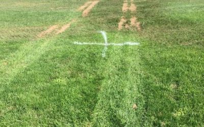Traffic stress on sports turf