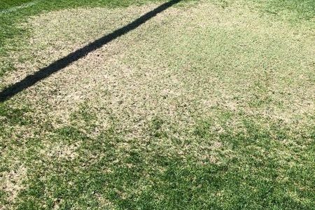 A football goalmouth worn thin and patchy from concentrated foot traffic, with grass cover declining toward bare soil in the most-used zone