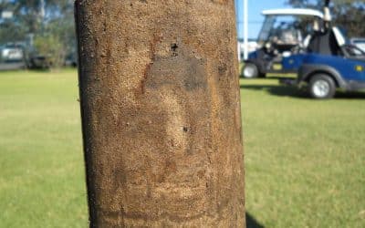 When your turf soil test says ‘deficient’ but isn’t
