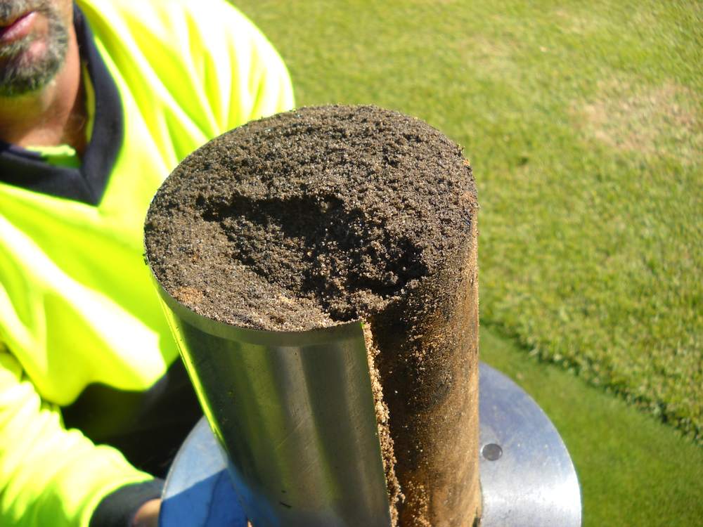 Turf agronomist pulling a sand soil core with a corer on a golf green