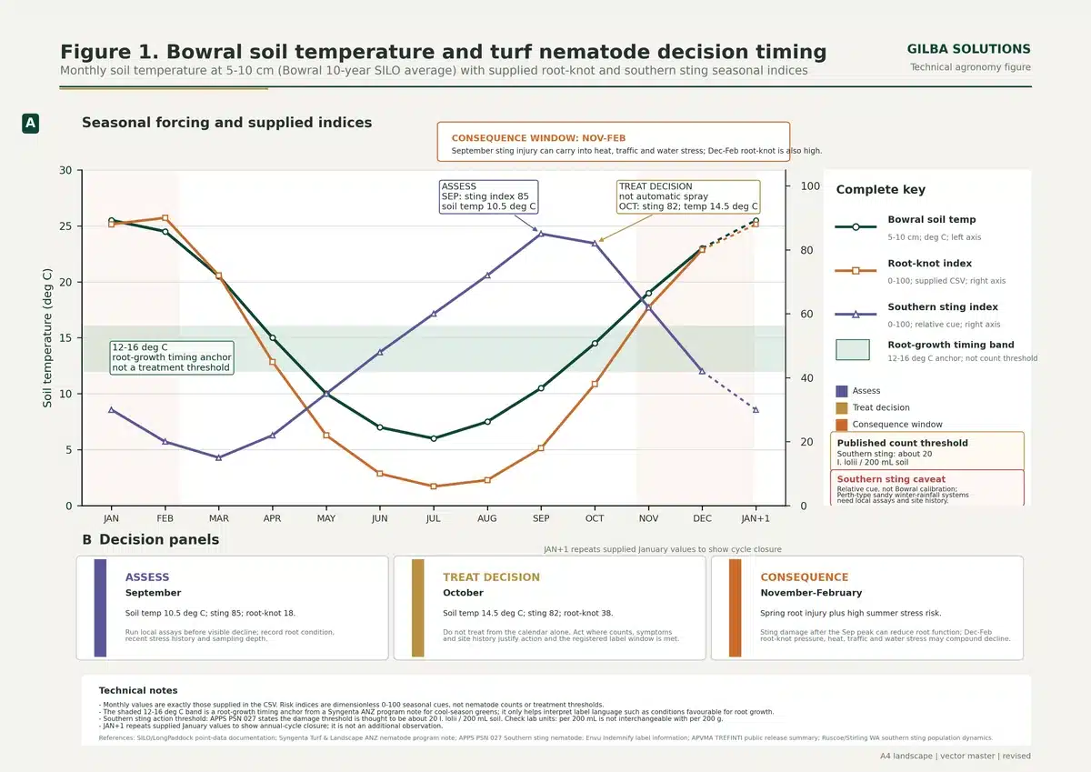 Bowral soil temperature and turf nematode decision timing Chart of Bowral soil temperature with sting and root-knot nematode seasonal indices, September marked as the sampling window.