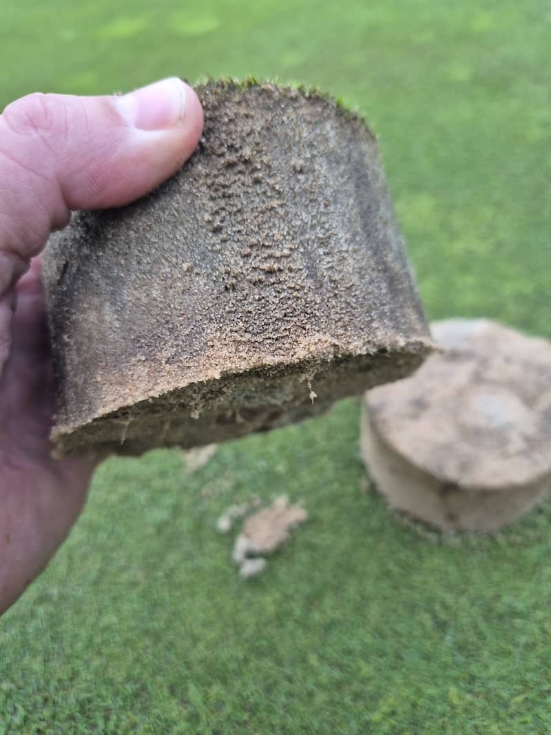 Golf green soil plug held in hand, split at the thatch base, sand rootzone below almost completely free of roots.